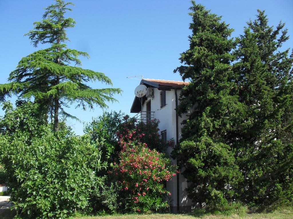 Apartment Lana Privlaka  Exterior photo